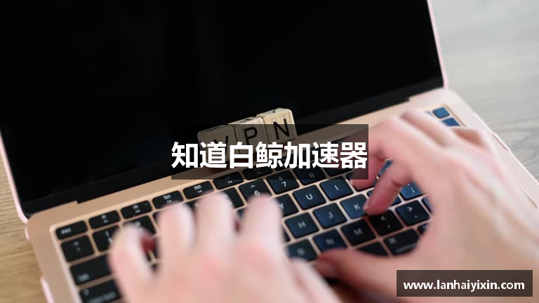 知道白鲸加速器